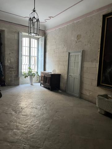 Avignon (84000) Appartement de 189 m2 à rénover dans un Hôtel Particulier au coeur d'Avignon