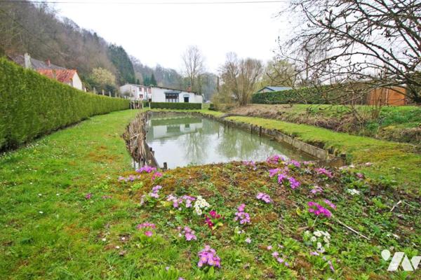 Maison de campagne et étang