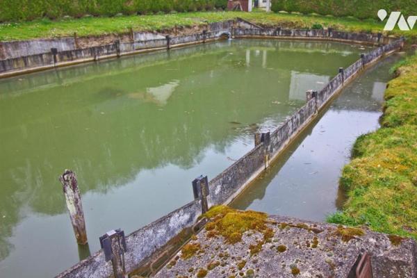 Maison de campagne et étang