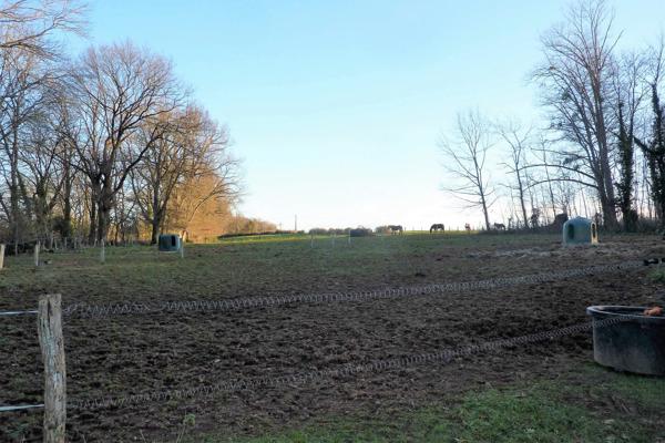 MAISON DE MAITRE AVEC FERME ET DEPENDANCES- 4 HECTARES  -