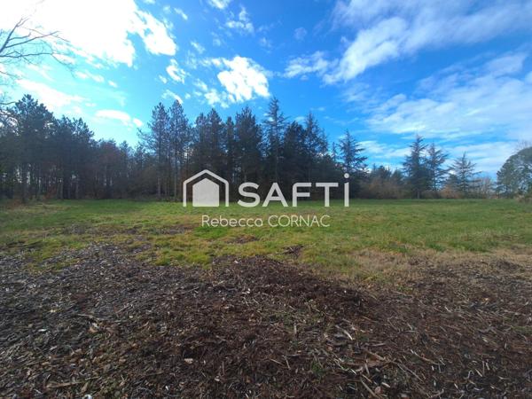 Terrain à bâtir de 1168 m² - Villematier