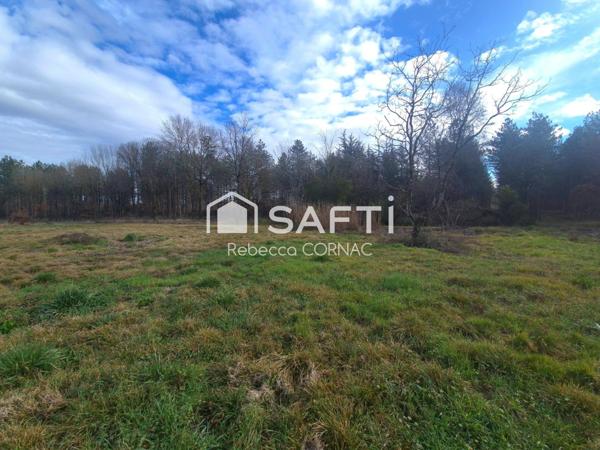 Terrain à bâtir de 1168 m² - Villematier