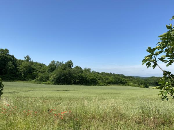 9KM DU PLATEAU D'ANGOULEME Jolie maison de bourg avec jardin, piscine.