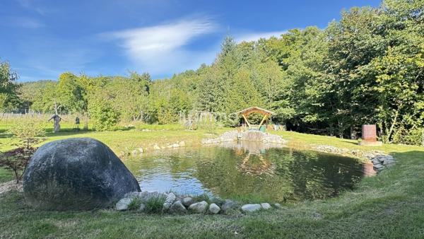 Maison avec étang à Kruth