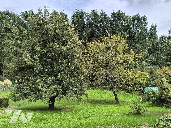Maison avec cachet ancien proche LA FERTE-MILON