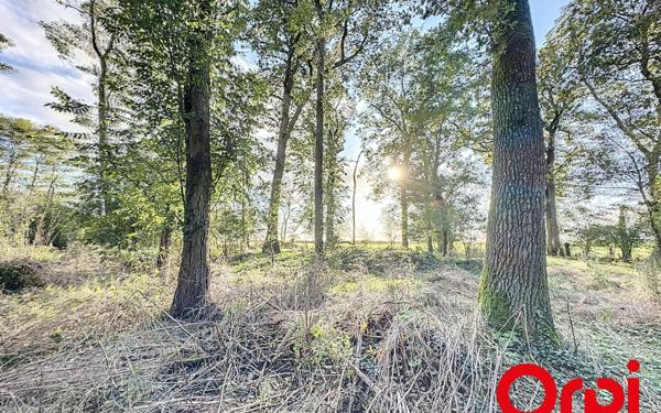 Maison à vendre    4 pièces • 224 m2 Bourges