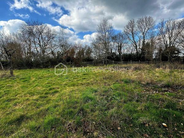 Terrain de 1 366 m²