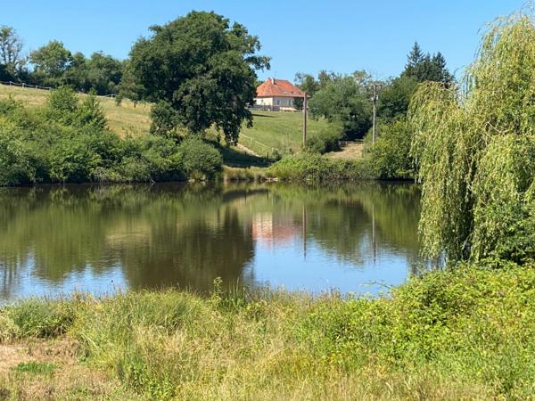 À VENDRE – Exclusivité Sud Bourgogne, Brionnais, Propriété du XIXème, 7 hectares libres, 2 étangs
