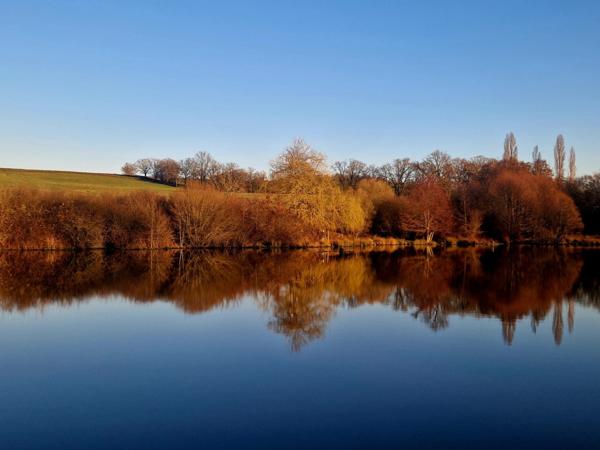 À VENDRE – Exclusivité Sud Bourgogne, Brionnais, Propriété du XIXème, 7 hectares libres, 2 étangs