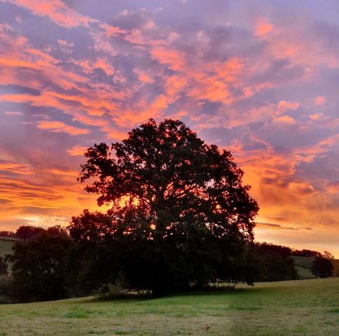 À VENDRE – Exclusivité Sud Bourgogne, Brionnais, Propriété du XIXème, 7 hectares libres, 2 étangs
