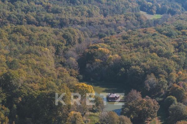 Propriété de 420 m² sur 47ha avec étang, piscine et chalets de luxe