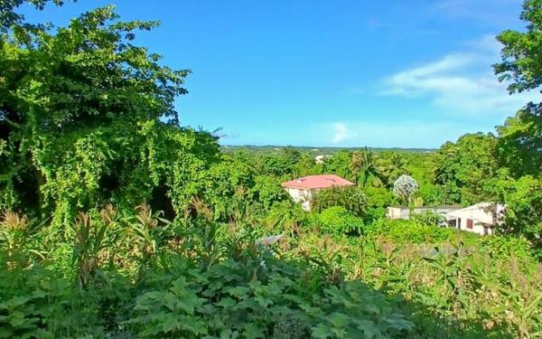 Maison à vendre    5 pièces • 110 m2 Morne-à-l'Eau