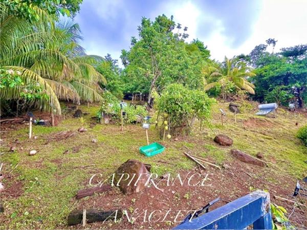 🏡 À vendre – Charmante maison avec piscine et studio indépendant à Ducos (97224)