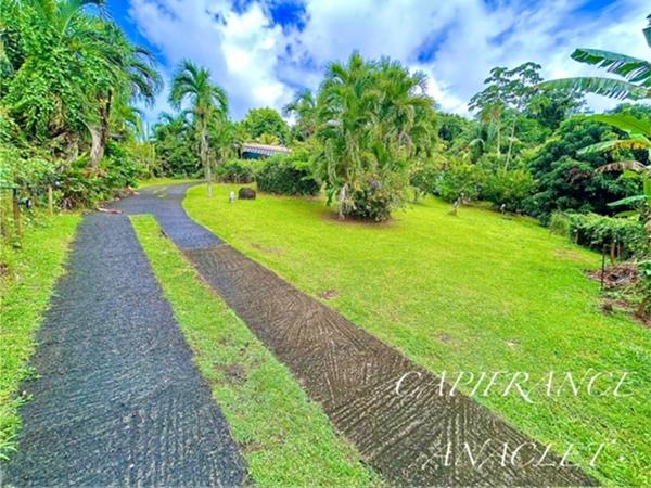 🏡 À vendre – Charmante maison avec piscine et studio indépendant à Ducos (97224)