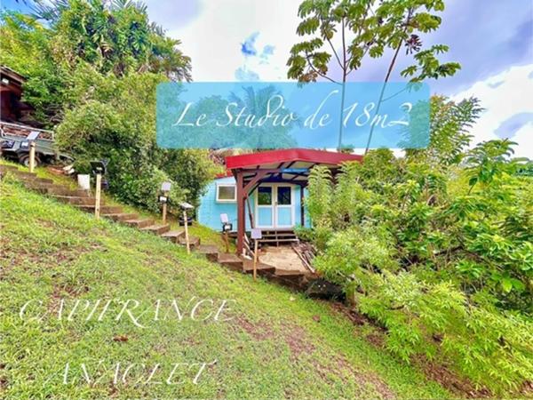 🏡 À vendre – Charmante maison avec piscine et studio indépendant à Ducos (97224)