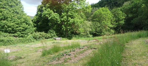 Massiac (15500) GRANGE À RÉNOVER AVEC GRAND TERRAIN – CADRE NATUREL EXCEPTIONNEL