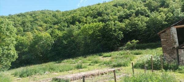 Massiac (15500) GRANGE À RÉNOVER AVEC GRAND TERRAIN – CADRE NATUREL EXCEPTIONNEL