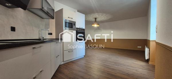 Appartement cœur de ville refait à neuf.