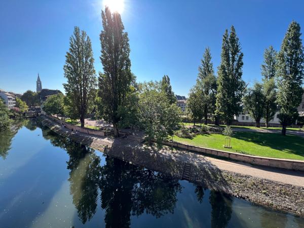 🏡 Duplex de charme – Dernier étage – Vue canal – Petite France