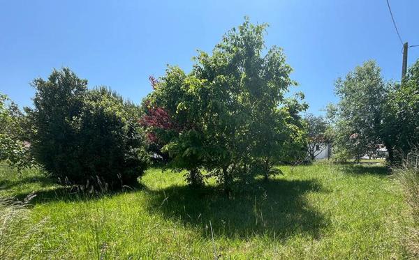 Terrain à vendre |  Le Château-d'Oléron |  417 m²