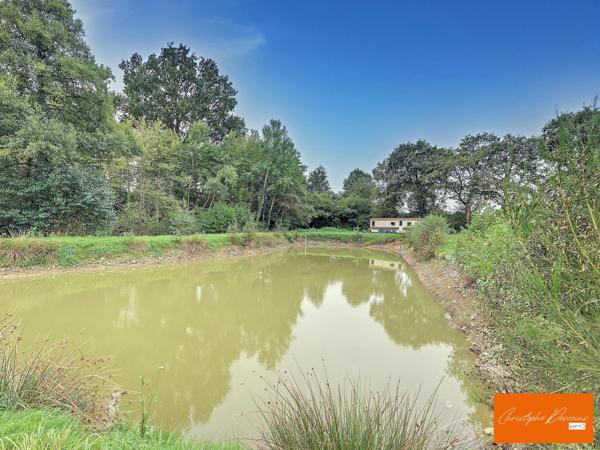 Charmante Longère Rénovée de 170 m²