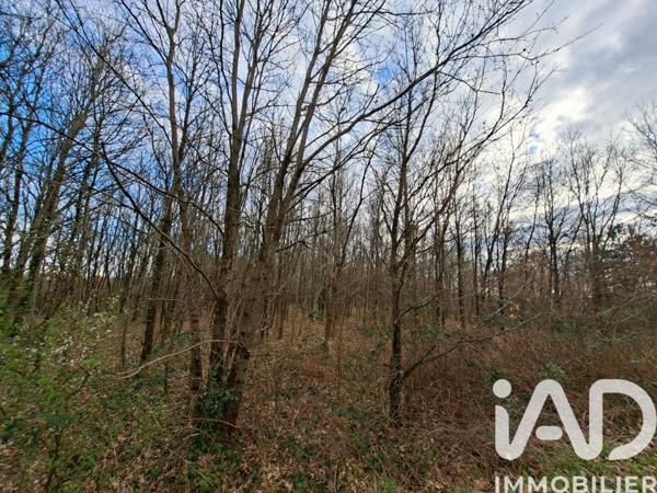 Terrain à vendre 12 130 m² Azay-le-Rideau