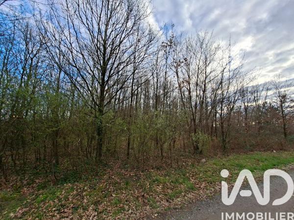 Terrain à vendre 12 130 m² Azay-le-Rideau