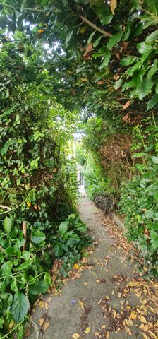 Rochefort (17300) EXCEPTIONNEL MAISON 5 pièces 3 chambres 120 m² - 17300 Rochefort - Une oasis de verdure au coeur du centre-vil