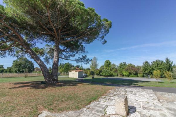 Maison spacieuse et individuelle avec grand jardin, maison d’amis et petite piscine, au cœur de la ville