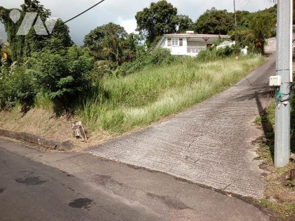 Terrain 517 m² à Terreville Schoelcher, pente douce, réseaux prêts, vue mer, emplacement prisé.