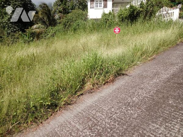 Terrain 517 m² à Terreville Schoelcher, pente douce, réseaux prêts, vue mer, emplacement prisé.