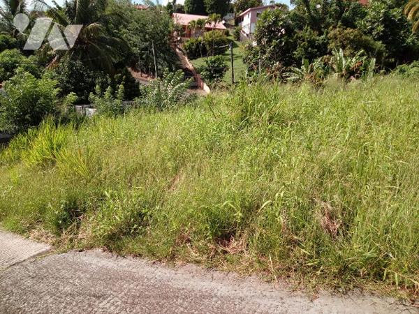 Terrain 517 m² à Terreville Schoelcher, pente douce, réseaux prêts, vue mer, emplacement prisé.