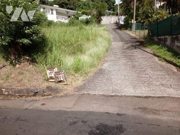 Terrain 517 m² à Terreville Schoelcher, pente douce, réseaux prêts, vue mer, emplacement prisé.