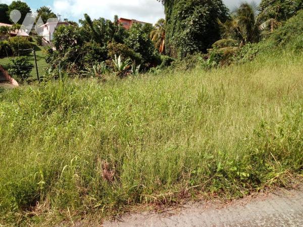 Terrain 517 m² à Terreville Schoelcher, pente douce, réseaux prêts, vue mer, emplacement prisé.