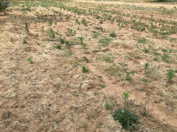 Terrain à Batir à vendre à Beaufay dans la Sarthe (72110), ref : 079/1877