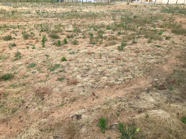 Terrain à Batir à vendre à Beaufay dans la Sarthe (72110), ref : 079/1877