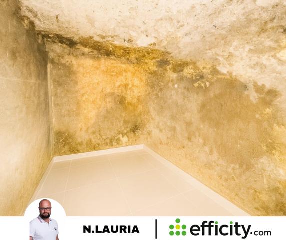 Appartement 2 pièces - 25 m²