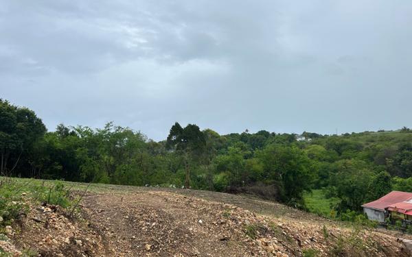 Terrain à vendre    Le Moule