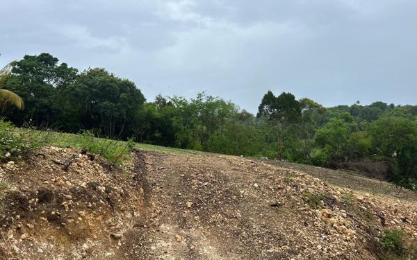 Terrain à vendre    Le Moule