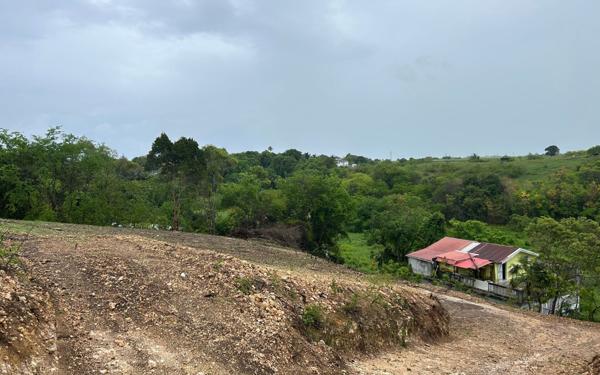 Terrain à vendre    Le Moule