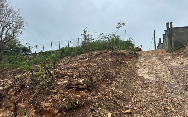 Terrain à vendre    Le Moule