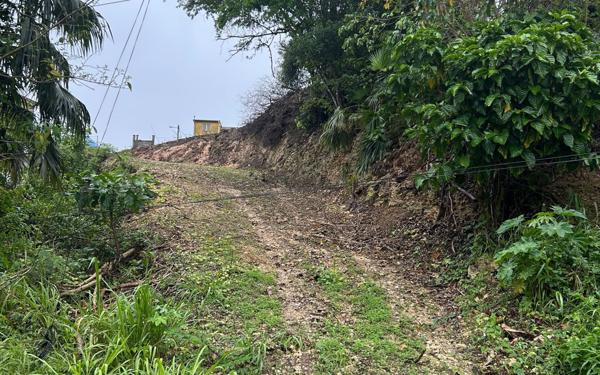 Terrain à vendre    Le Moule