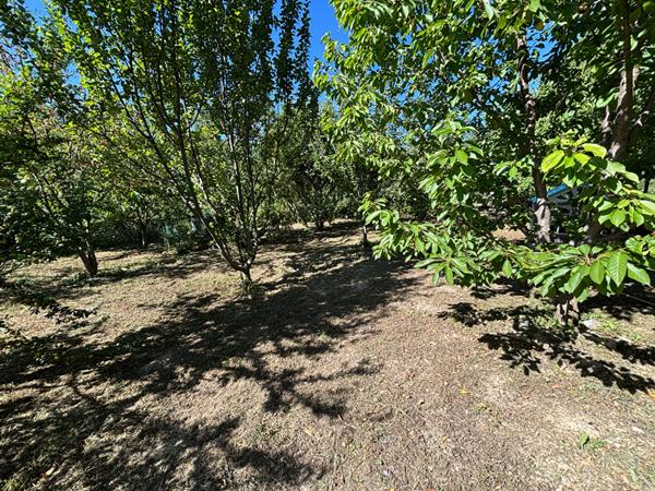 Exclusivité - Terrain avec roulotte Bayons 1350 m2