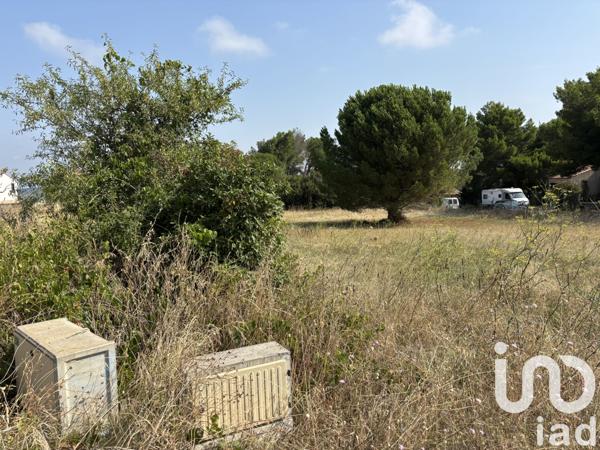 Terrain à vendre 1 195 m² Salles-d'Aude