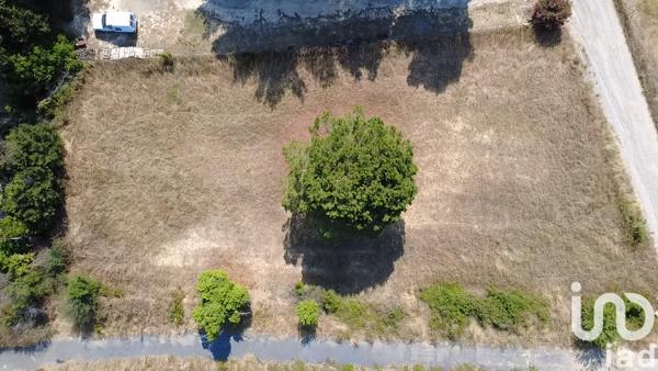 Terrain à vendre 1 195 m² Salles-d'Aude