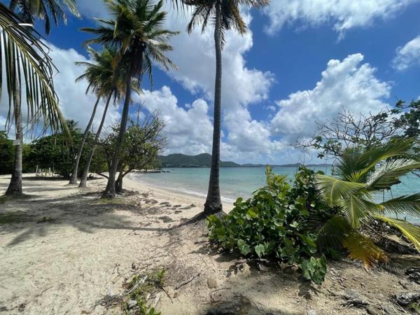 Maison T4 et locatif T3 indépendant - piscine - terrain de 577 m2 -