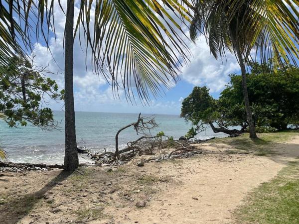 Maison T4 et locatif T3 indépendant - piscine - terrain de 577 m2 -