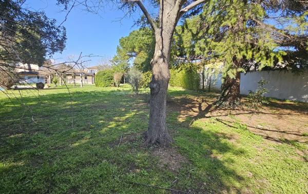 SUPER TERRAIN A CONSTRUIRE