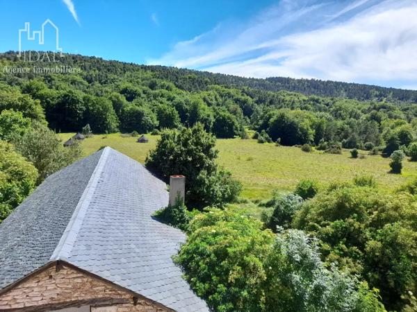 Vente                                                      Maison
                        
                                         358 m2                     à Sévérac-d'Aveyron