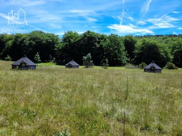 Vente                                                      Maison
                        
                                         358 m2                     à Sévérac-d'Aveyron